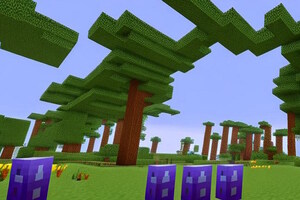 Фотография квеста-анимации Майнкрафт от компании Золотая рыбка (Фото 1)